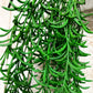 Künstliche Hänge-Sukkulente - Henriette, 45 cm, Kunstpflanze von aplanta, Steckpflanze, in Natur, für drinnen