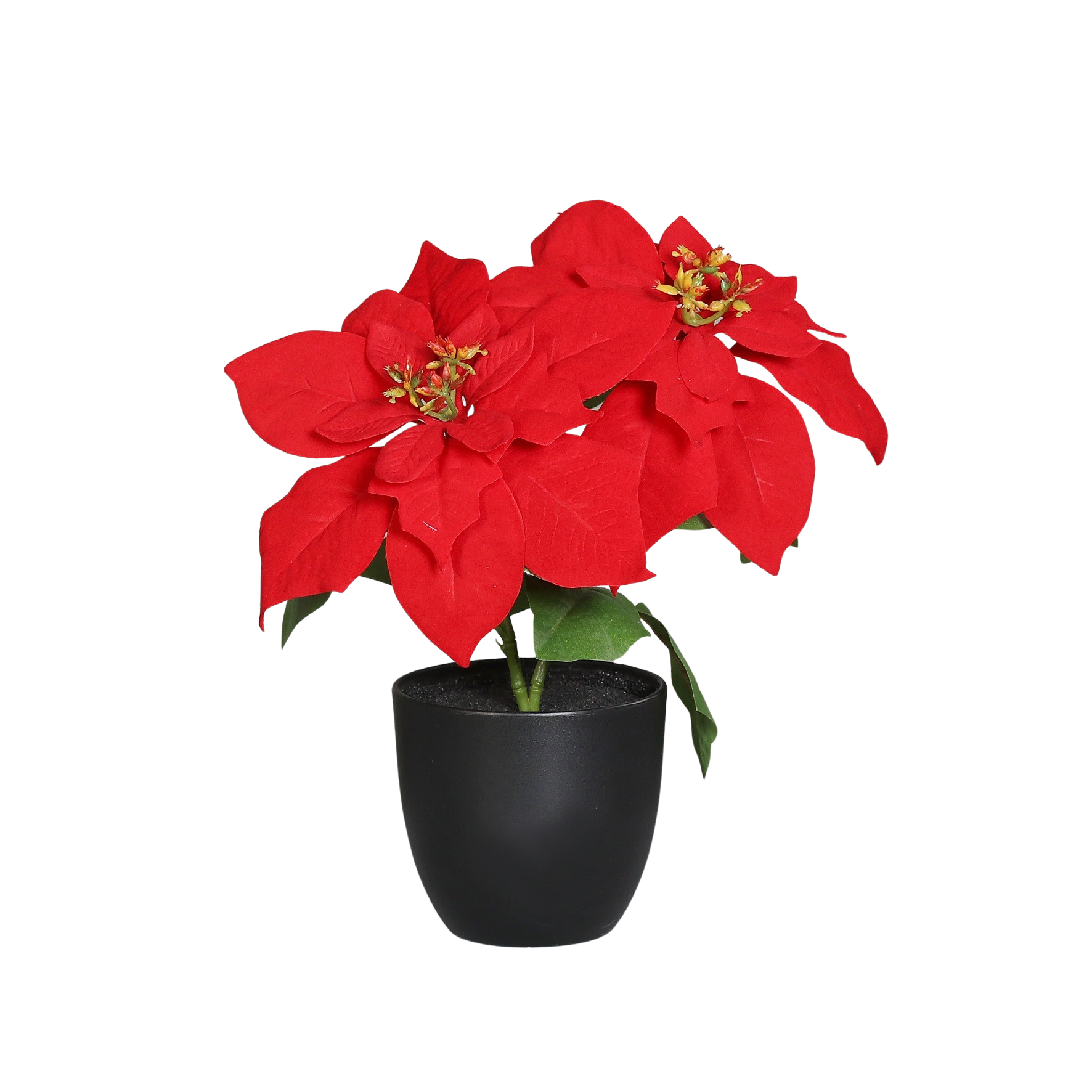 Künstliche Poinsettia - Cady | 32 cm, im Topf