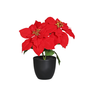 Künstliche Poinsettia - Cady | 32 cm, im Topf