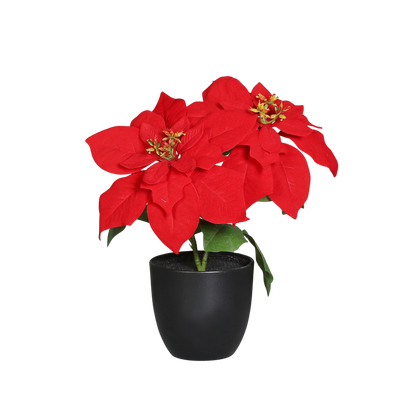 Künstliche Poinsettia - Cady, 32 cm, Kunstpflanze von aplanta, in Natur, für drinnen