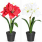 Künstliche Amaryllis – Elvina | 43 cm Rot