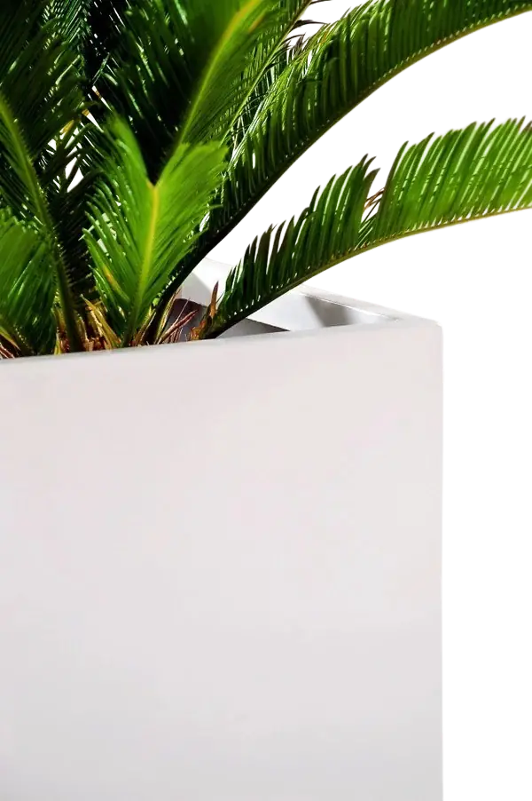 Pflanzkübel - Leyla | 50x50x50 cm, Weiß