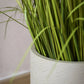 Blumentopf - Talco, 31x29cm, Pflanzkübel von aplanta, in Beige