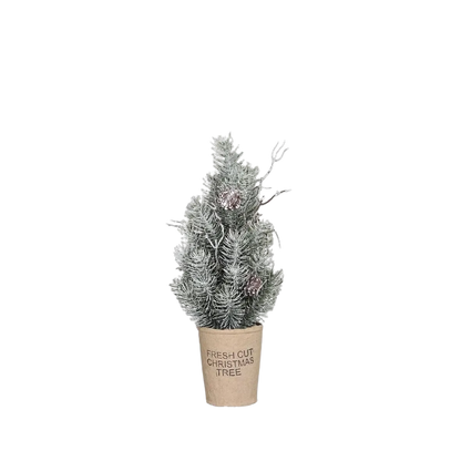 Künstlicher Tannenbaum - Rachel auf transparentem Hintergrund mit echt wirkenden Kunstblättern in natürlicher Anordnung. Künstlicher Tannenbaum - Rachel hat die Farbe Natur und ist 30 cm hoch. | aplanta Kunstpflanzen