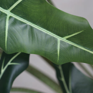 Künstliche Alocasia - Marco | 100 cm