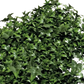 Künstliche Efeu Matte - Peer, 5 cm, Kunstpflanze von aplanta, UV-beständig, in Natur, für draußen
