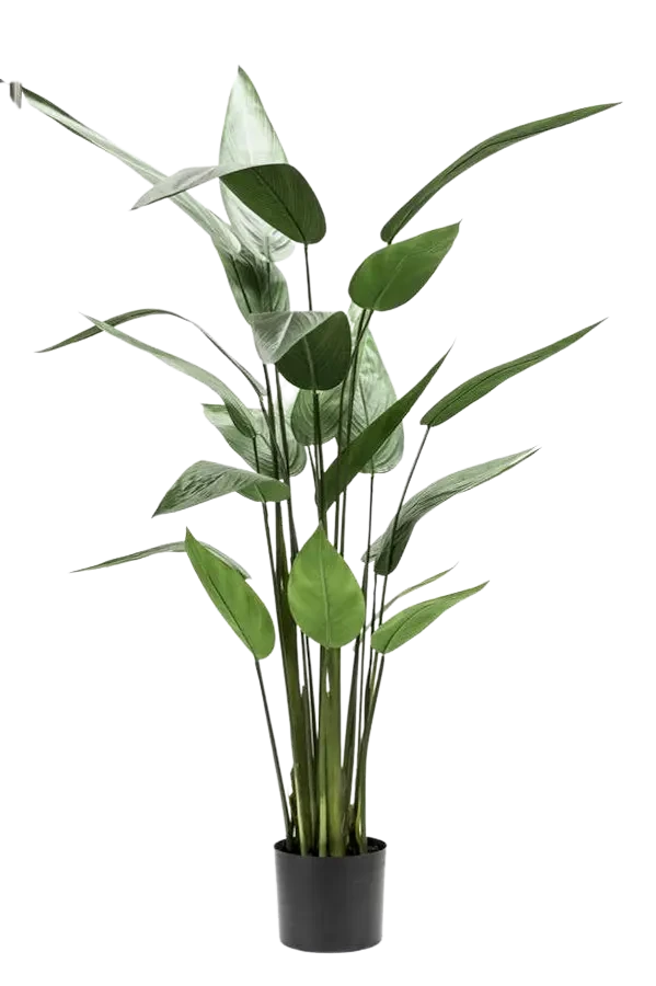 Künstliche Helikonie – Azariel | 140 cm