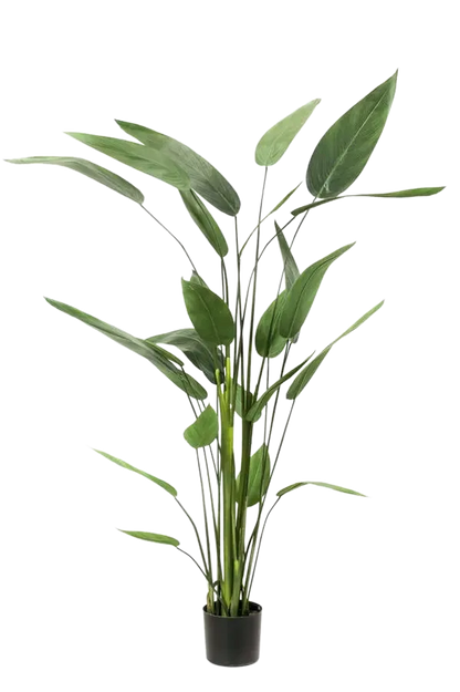 Künstliche Helikonie - Frida auf transparentem Hintergrund mit echt wirkenden Kunstblättern. Diese Kunstpflanze gehört zur Gattung/Familie der "Helikonien" bzw. "Kunst-Helikonien".