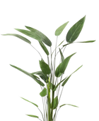 Künstliche Helikonie – Azariel | 160 cm