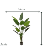 Künstliche Strelitzia - Josephine | 190 cm