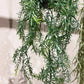 Künstlicher Hänge-Zierspargel - Kilian | 50 cm | Kunstpflanze von aplanta