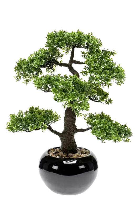 Hochwertiger Kunstbonsai auf transparentem Hintergrund mit echt wirkenden Kunstblättern in natürlicher Anordnung. Künstlicher Ficus Bonsai - Sota hat die Farbe Natur und ist 47 cm hoch. | aplanta Kunstpflanzen