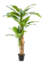 Künstlicher Bananenbaum - Maliora, 210 cm, Kunstbaum von aplanta, UV-beständig, inkl. Startertopf, in Grün, für drinnen