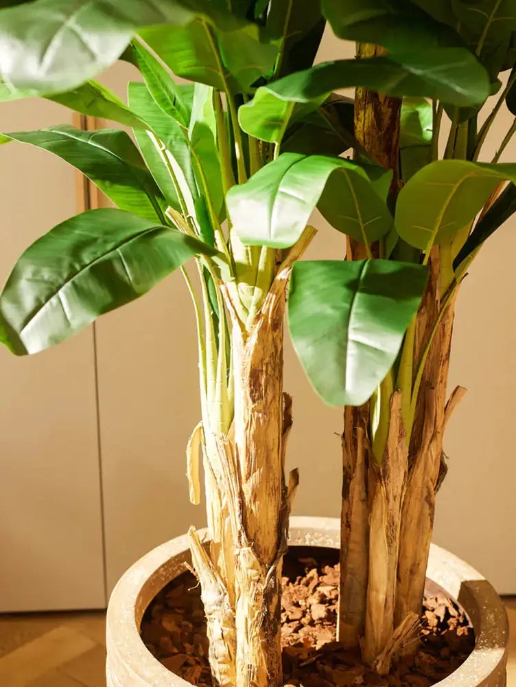 künstlicher bananenbaum Künstlicher Bananenbaum – Maliora
