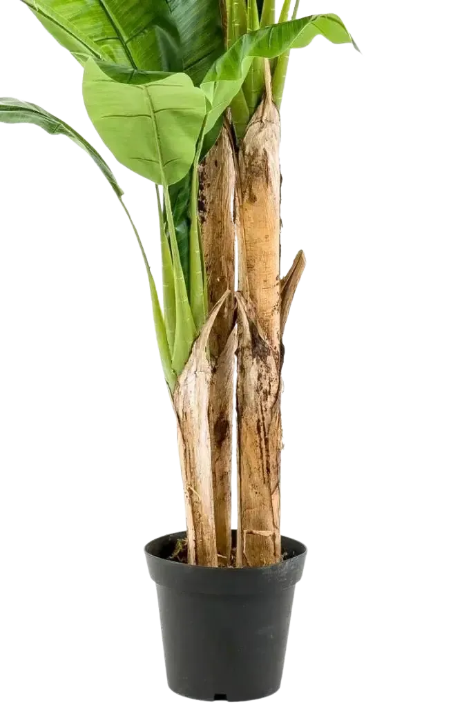 Künstlicher Bananenbaum – Maliora | 210 cm