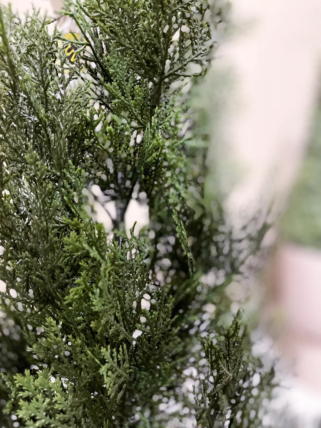 Künstliche Zeder – Thalion | 150 cm