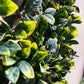 Künstliche Prunus Hecke - Nisa, 135 cm, Kunstpflanze von aplanta, UV-beständig, in Natur, für draußen