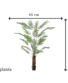 Künstliche Areca Palme - Isaiah | 240 cm