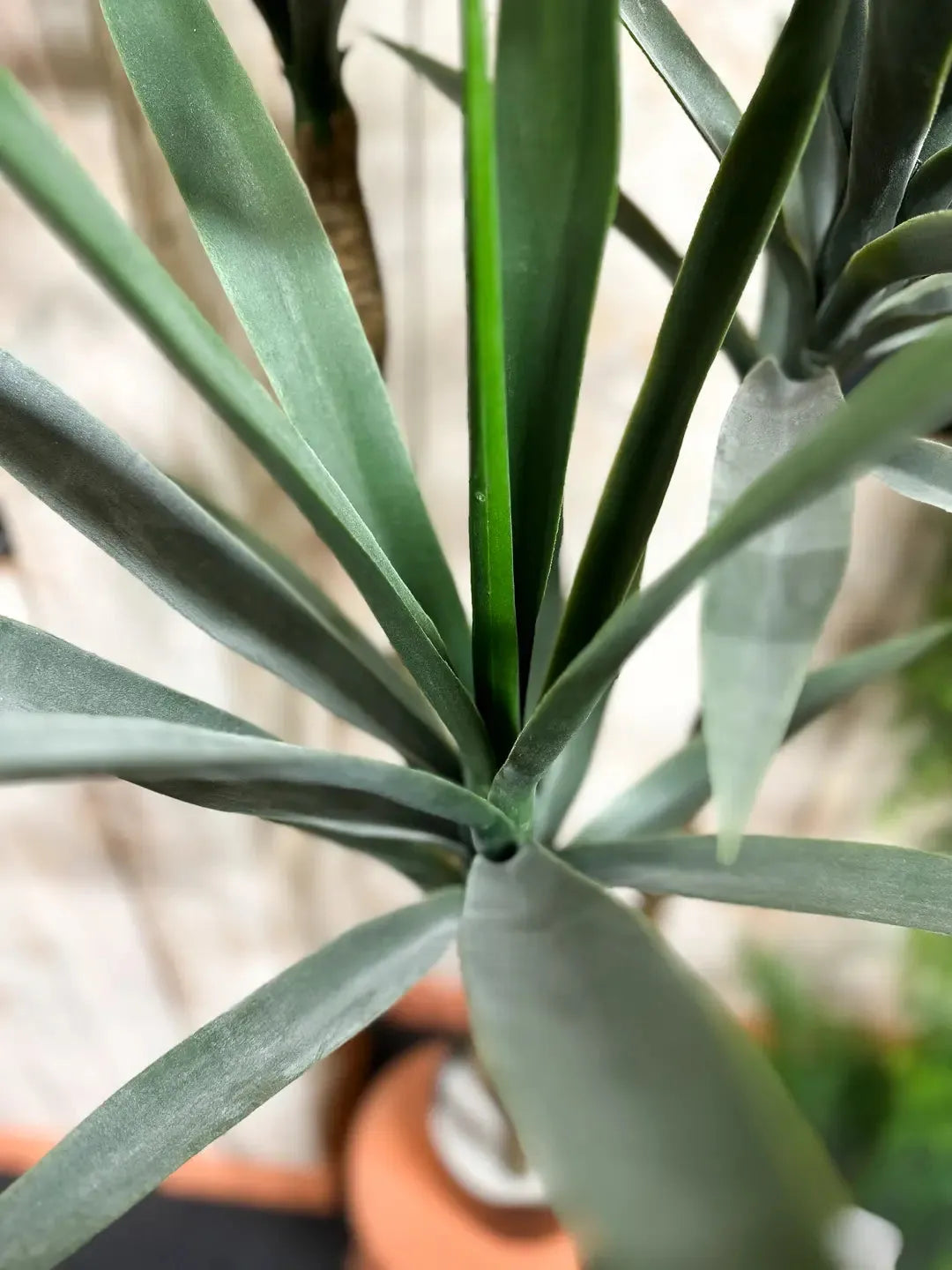 yucca künstlich Künstliche Yucca – Talandra | 150 cm