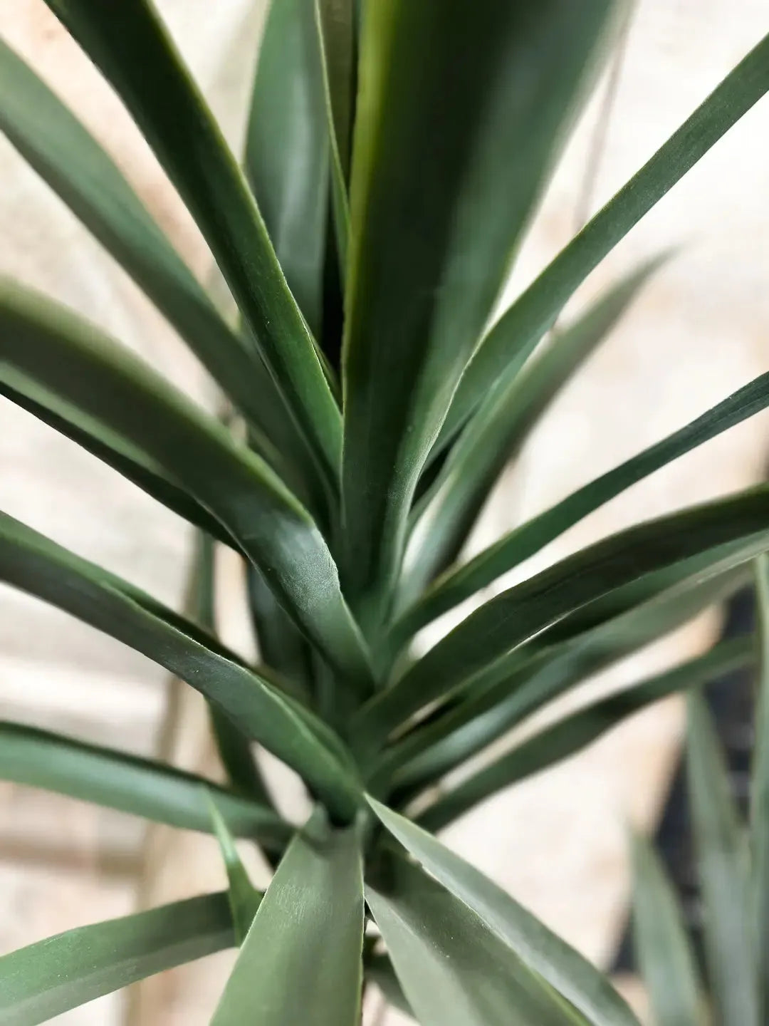 Künstliche Yucca - Talandra, 150 cm, Kunstbaum von aplanta, in Grün, für drinnen