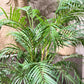 Künstliche Bergpalme - Nadine, 120 cm, Kunstbaum von aplanta, im schwarzen Topf, in Natur, für drinnen