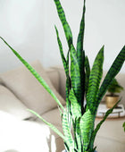 Künstlicher Bogenhanf - Jette | 97 cm