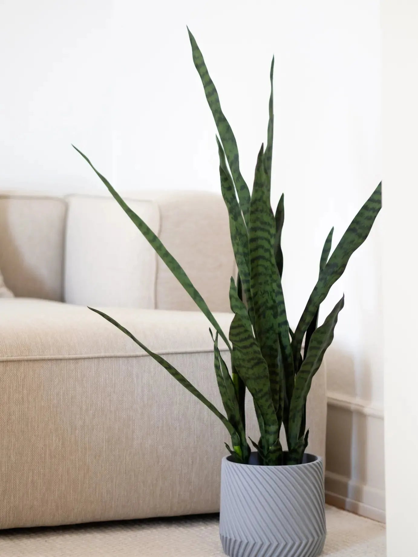 Künstlicher Bogenhanf - Jette | 97 cm