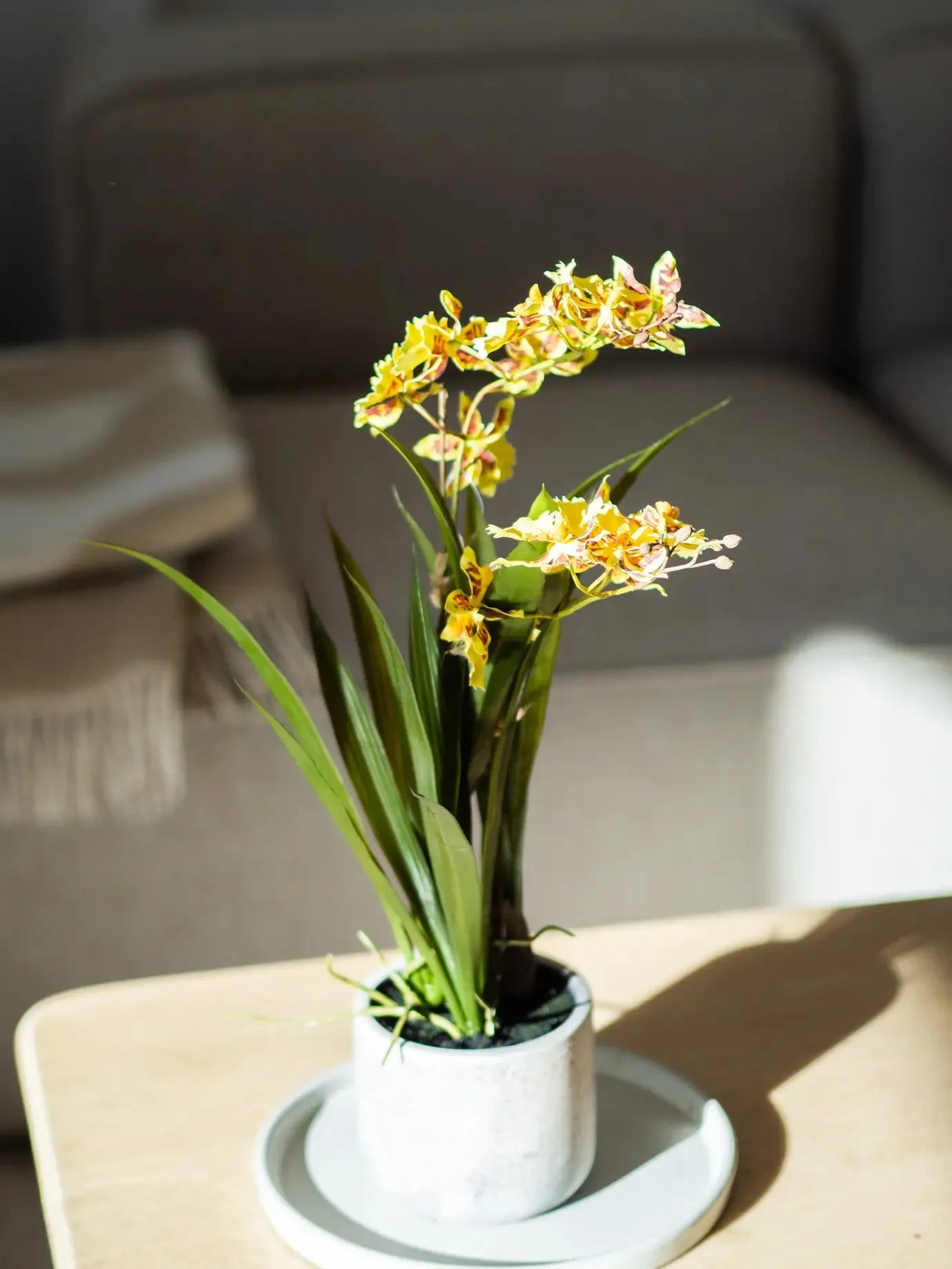 Künstliche Orchidee - Lilli | 45 cm