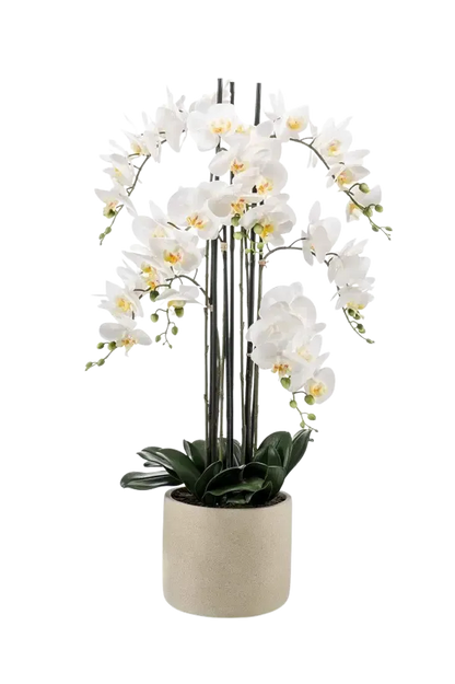 Künstliche Orchidee - Louisa auf transparentem Hintergrund mit echt wirkenden Kunstblättern. Diese Kunstpflanze gehört zur Gattung/Familie der "Orchideen" bzw. "Kunst-Orchideen".