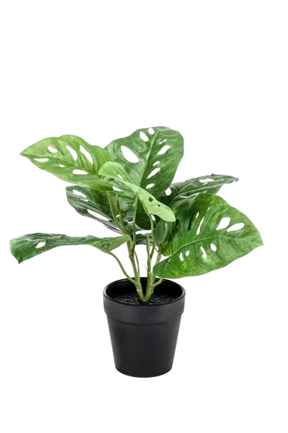 Künstliche Monstera - Jonah, 30 cm, Kunstpflanze von aplanta, im schwarzen Topf, in Natur, für drinnen