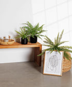 Künstlicher Schwertfarn - Bali | 51 cm