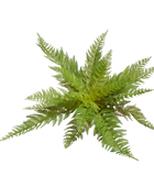 Künstlicher Frauenfarn - Jupi | 47 cm