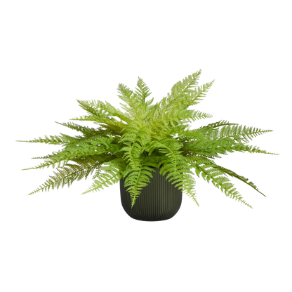 Künstlicher Frauenfarn - Talos | 55 cm
