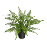 Künstlicher Schwertfarn - Grimm | 46 cm