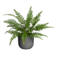 Künstlicher Schwertfarn - Grimm | 46 cm