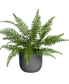 Künstlicher Schwertfarn - Grimm | 46 cm