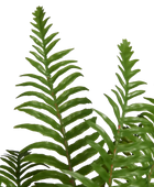 Künstlicher Schwertfarn - Grimm | 46 cm