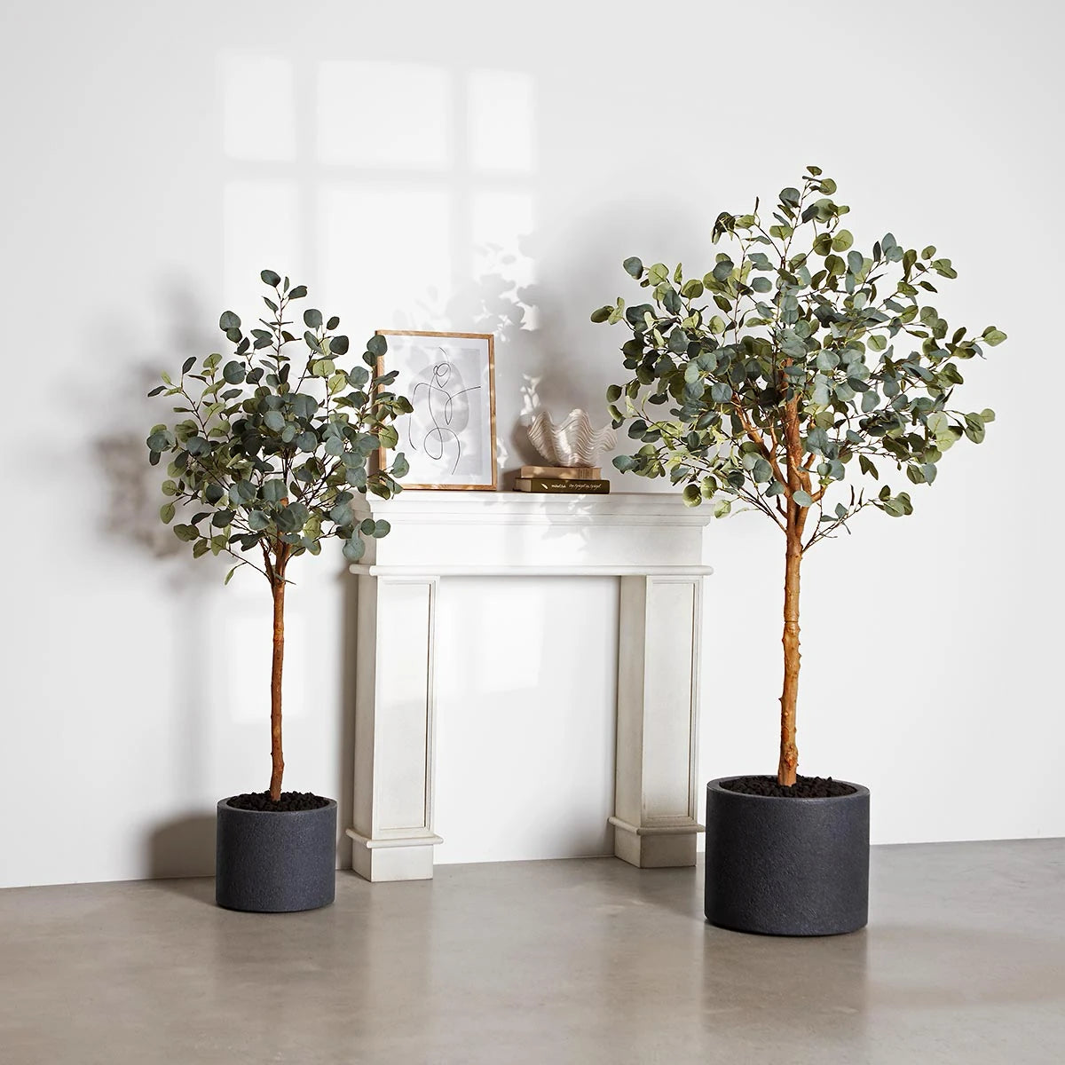 künstliche eukalyptus pflanze Künstlicher Eucalyptus Baum - Parla