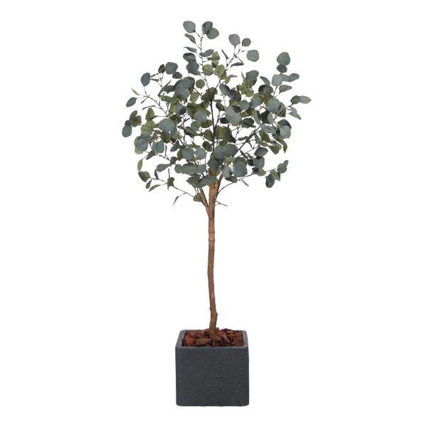 Künstlicher Eucalyptus Baum - Parla | 150 cm