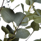 Künstlicher Eucalyptus Baum - Parla, 150 cm, Kunstbaum von aplanta, mit Echtholzstamm, in Grün, für drinnen