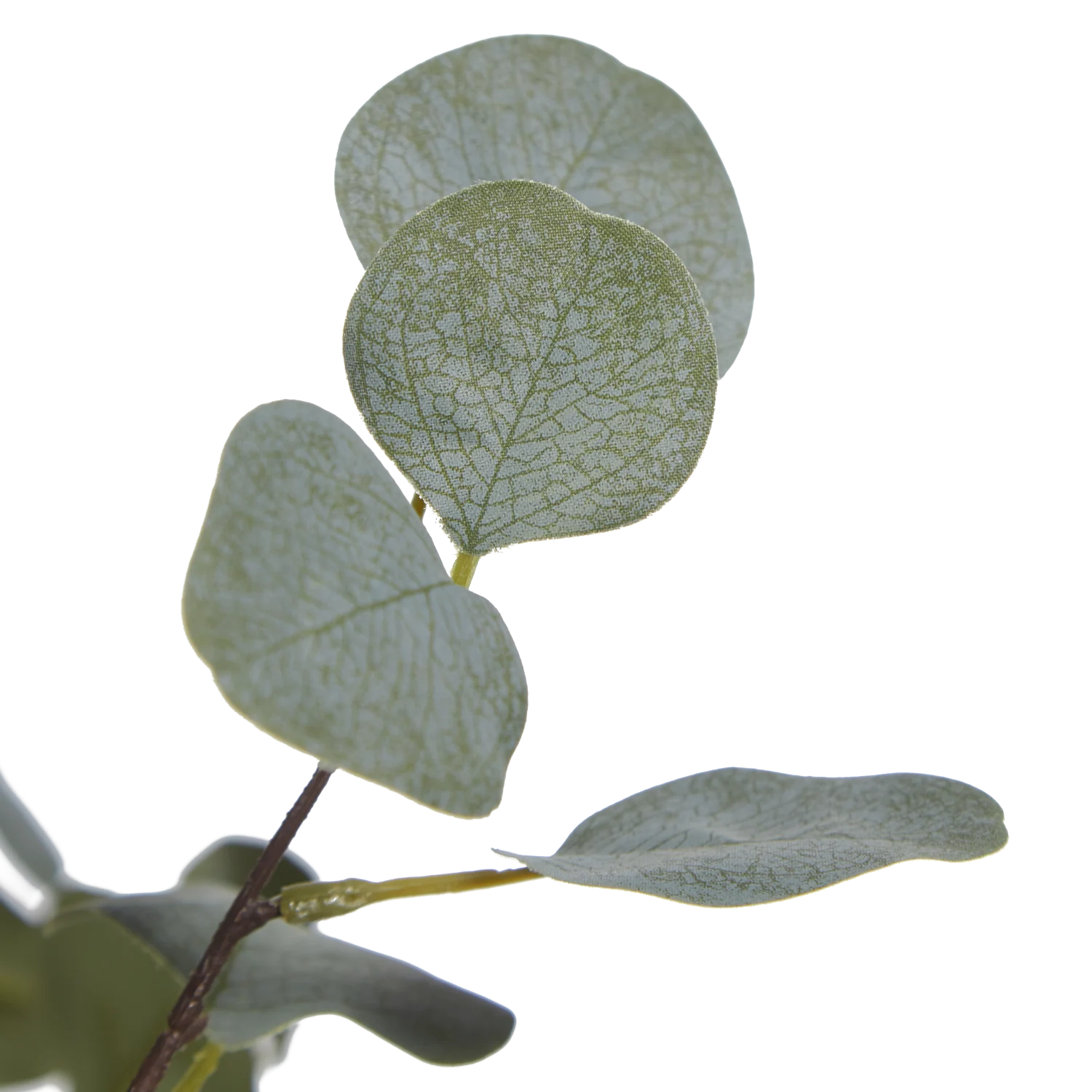 Künstlicher Eucalyptus Baum - Parla | 150 cm