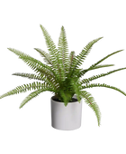 Künstlicher Farn - Isa | 35 cm