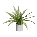 Künstlicher Farn - Isa | 35 cm