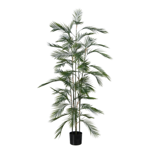 Künstliche Bergpalme - Nolte | 180 cm