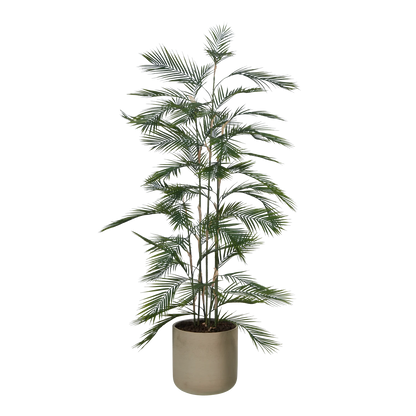 Künstliche Bergpalme - Nolte, 180 cm, Kunstbaum von aplanta, in Grün, für drinnen