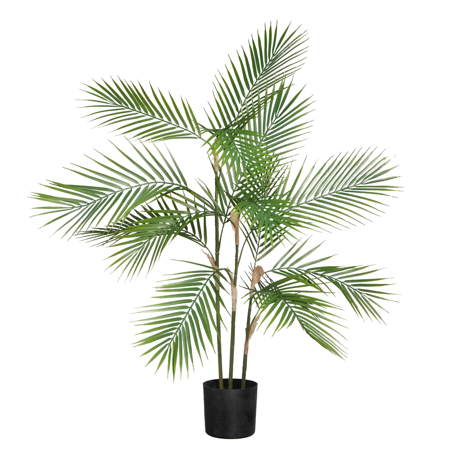 Künstliche Bergpalme - Nolte | 100 cm