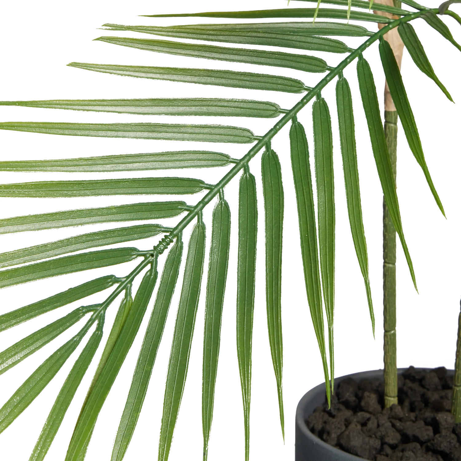 Künstliche Bergpalme - Nolte | 100 cm