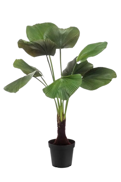 Künstliche Strahlen Palme - Naomi, 130 cm, Kunstbaum von aplanta, im schwarzen Topf, in Natur, für drinnen
