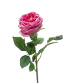 Hochwertige Hortensie künstlich auf transparentem Hintergrund mit echt wirkenden Kunstblättern in natürlicher Anordnung. Künstliche Rose - Charlotte hat die Farbe Altes Pink und ist 60 cm hoch. | aplanta Kunstpflanzen