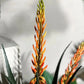 Künstliche Aloe - Paulina, 80 cm, Kunstpflanze von aplanta, im schwarzen Topf, in Natur, für drinnen
